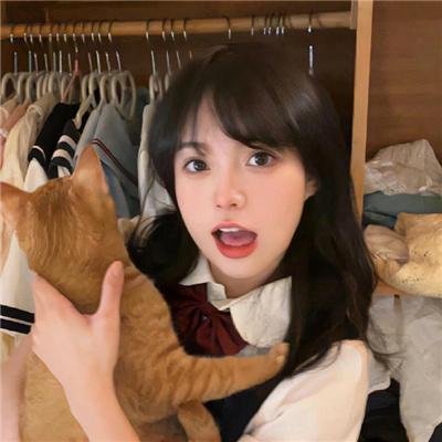 威龙二世