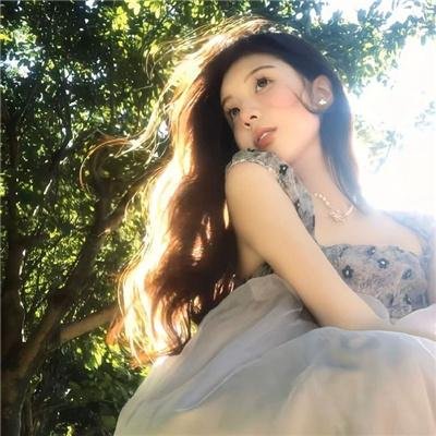 机甲界